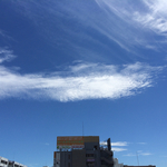 3D06F18F-45C8-465E-9964-FECD05359F44.jpg