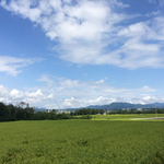 9A79D35B-800F-4B24-908C-DFD8D66F4EF5.jpg