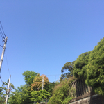 A21AB552-79BE-4E20-AC68-261B49C8B495.jpg