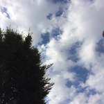 AB6AFF9F-3CA9-47AB-B281-A9F29FE7EDD7.jpg
