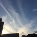 EDB3667C-875B-4ADF-83D2-136526D5EC31.jpg