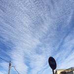 FBEBD3B7-65C3-4447-A498-A6E9910A08F3.jpg