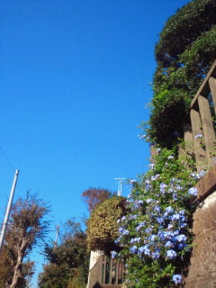 2011110108480000.jpg