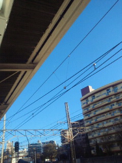 2011121008430000.jpg
