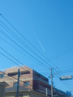 2013013010350000.jpg