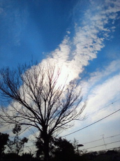 2013031308400000.jpg